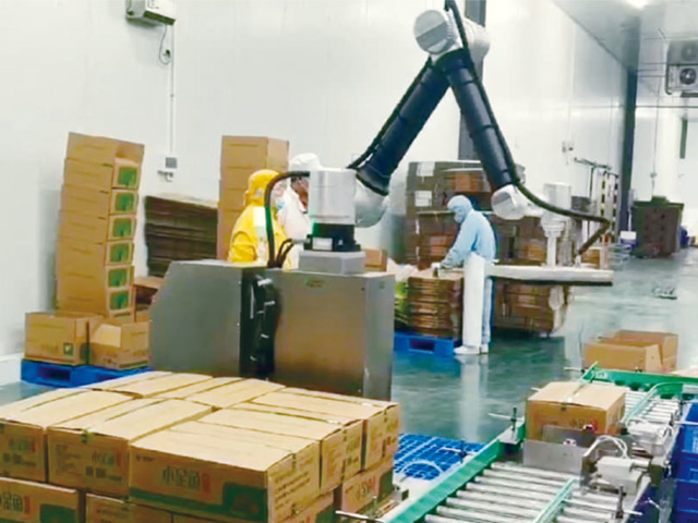 Coordination Palletizer